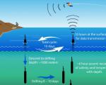Argo 10-day ocean observation cycle (Image: Argo). 