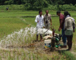 Sustainable use of groundwater during the dry season is crucial for paddy farming in Saptari, Nepal. Image: ICIMOD