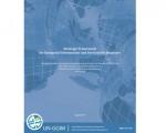 UN-GGIM Strategic Framework on Geospatial Information and Services for Disasters