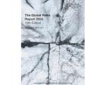 Global Risks Report 2024
