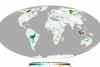 Difference from average emissions for 2014 in grams of carbon per square meter per year (Image: NASA)