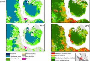 Different spatial resolution of MODIS compared to Landsat. 