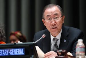 Secretary-General Ban Ki-moon named an Independent Expert Advisory Group 