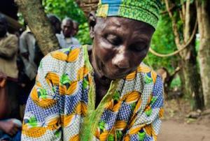 World Disasters Report 2014: Culture and Risk