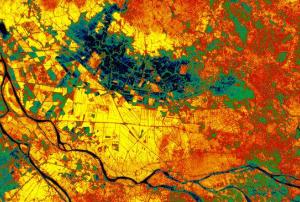 Vegitation Map of Mekong Delta