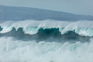 Credit: César Couto from Unsplash