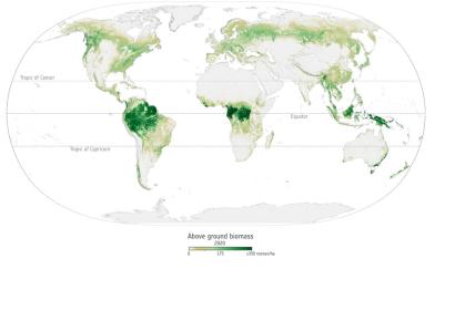 Credit: ESA. Above ground biomass 2020